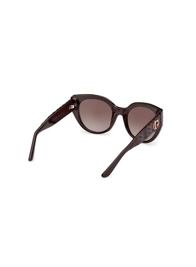 جس نظارات شمسية وايفاريرز - Image 5